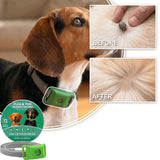 Cedarfur flea & tick pendant for dogs — before and after