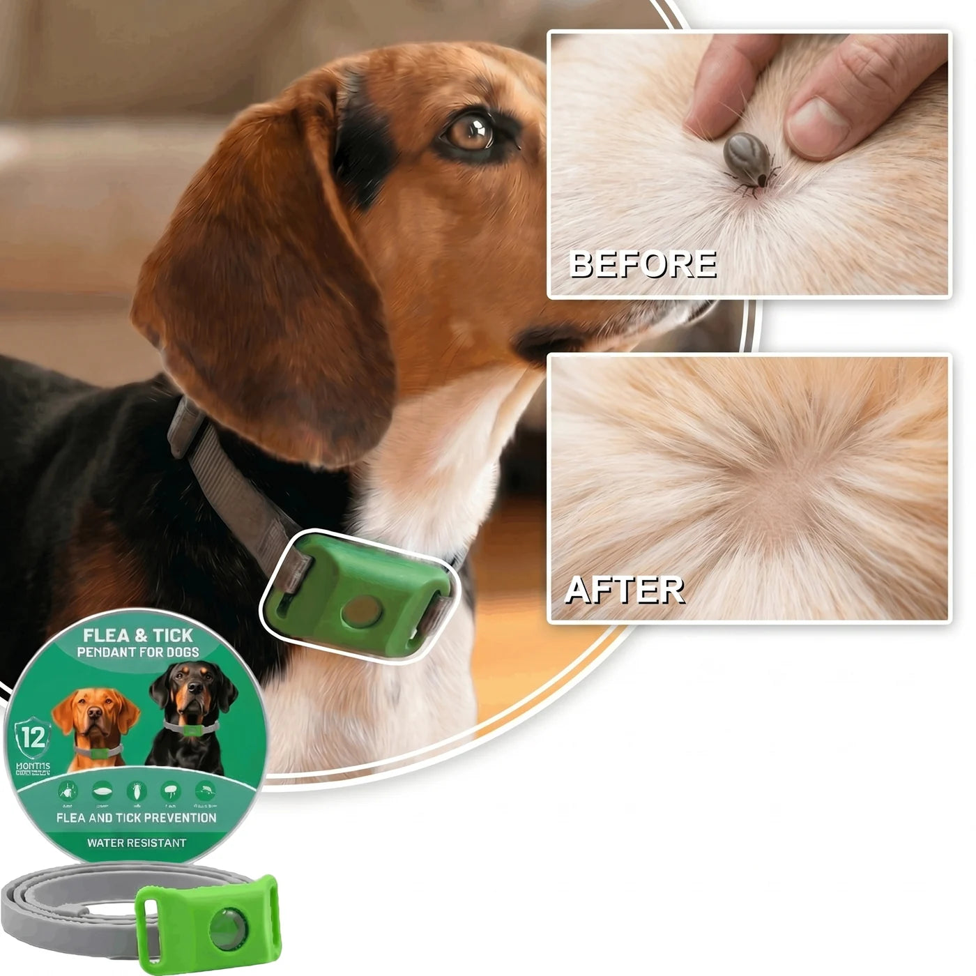 Cedarfur flea & tick pendant for dogs — before and after